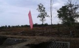 Program Pemda Kabupaten Cirebon Targetkan Lahan Abadi Seluas 40 Hektar Hanya Wacana