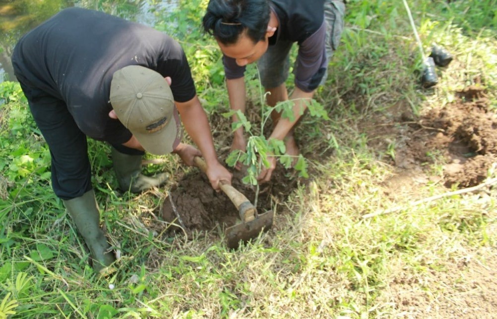 Menjaga Kelestarian Hutan, Mahasiswa Unwaha Jombang Tanam Seribu Pohon