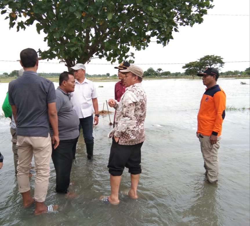 Banjir Akibat Luapan Waduk Takeran, Perlu Normalisasi Sungai Dan Peninggian Jalan
