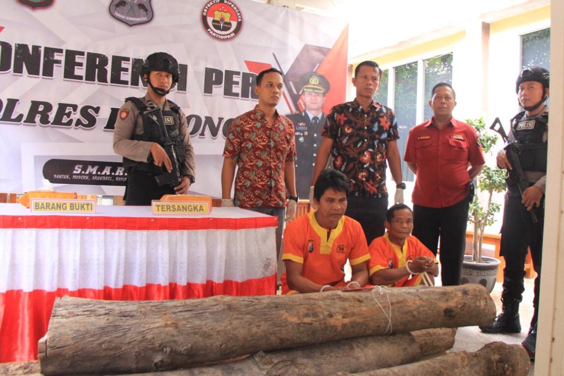 Kasat Reskrim Lamongan Berhasil Ungkap Kasus Illegal Logging