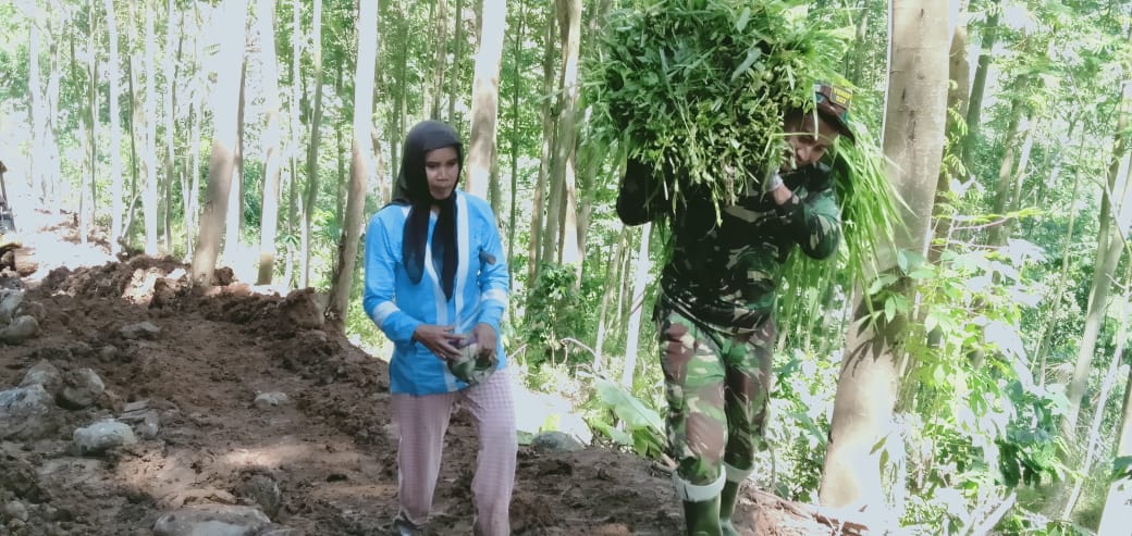 Melihat Holis Terseyok Seyok Gendong Rumput, Ini Yang Dilakukan Prajurit TNI Di Lokasi TMMD