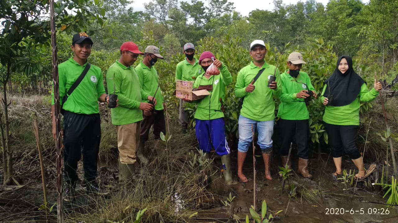 Hari Lingkungan Hidup Sedunia, Kelompok Bakau Muara Tanam Mangrove