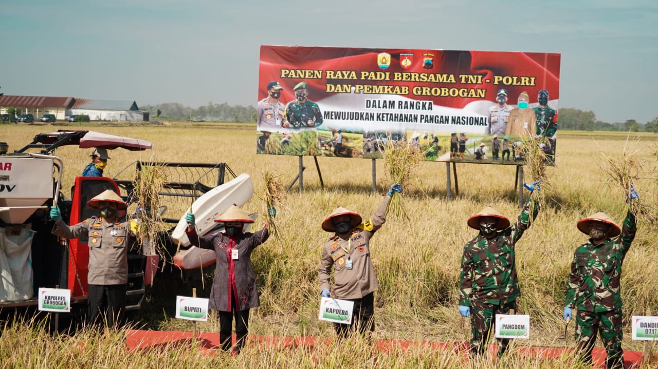 Surplus ! Panen Raya Padi Polda Jawa Tengah Mencapai 265 Hektar