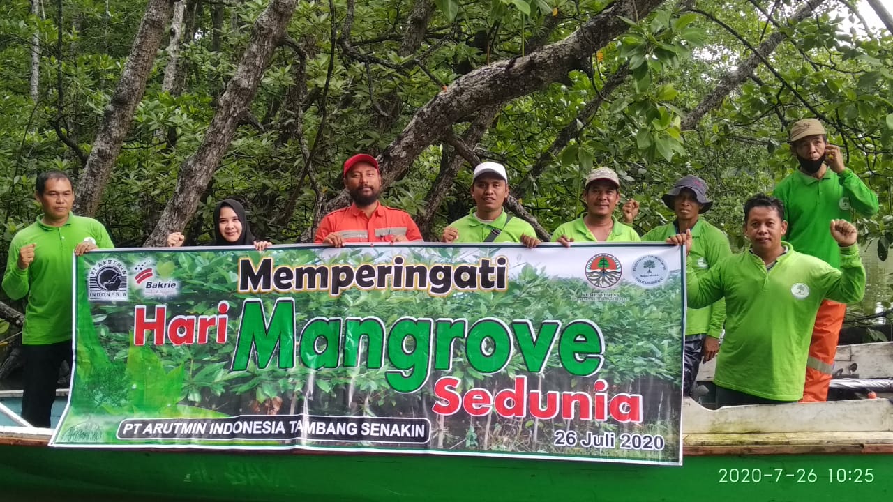 PT. Arutmin Dan Kelompok Bakau Muara Berburu Buah Bakau Untuk Ditanam Dihari Mangrove Sedunia