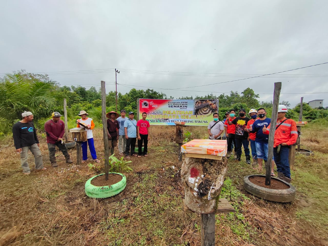Budidaya Kelulut Pilihan Utama Program PPM Untuk Warga Desa Tamiang Bakung