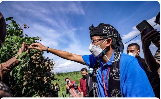 Menparekraf Tinjau Kampung Agrinex Pandeglang Banten