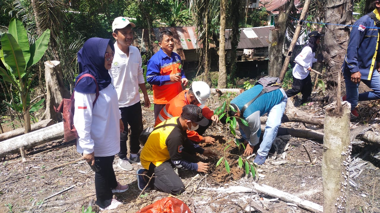PT Indocement Tarjun Gandeng PWI Kotabaru Dan LSM Untuk Menanam Pohon