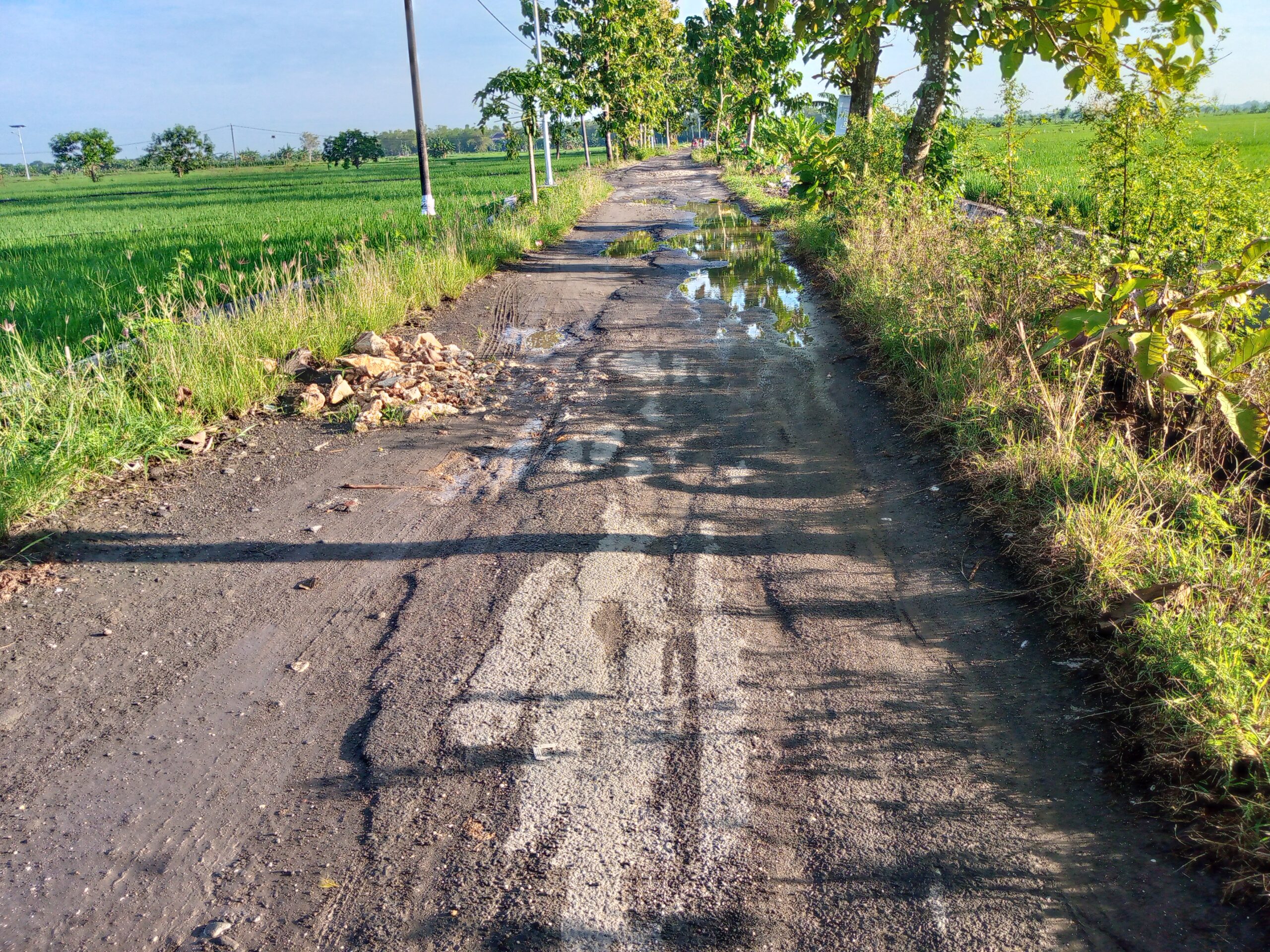 Ketua Umum NGO JALAK: Bupati Lamongan Diminta Segera Bangun Jalan Poros Kecamatan Desa Karang