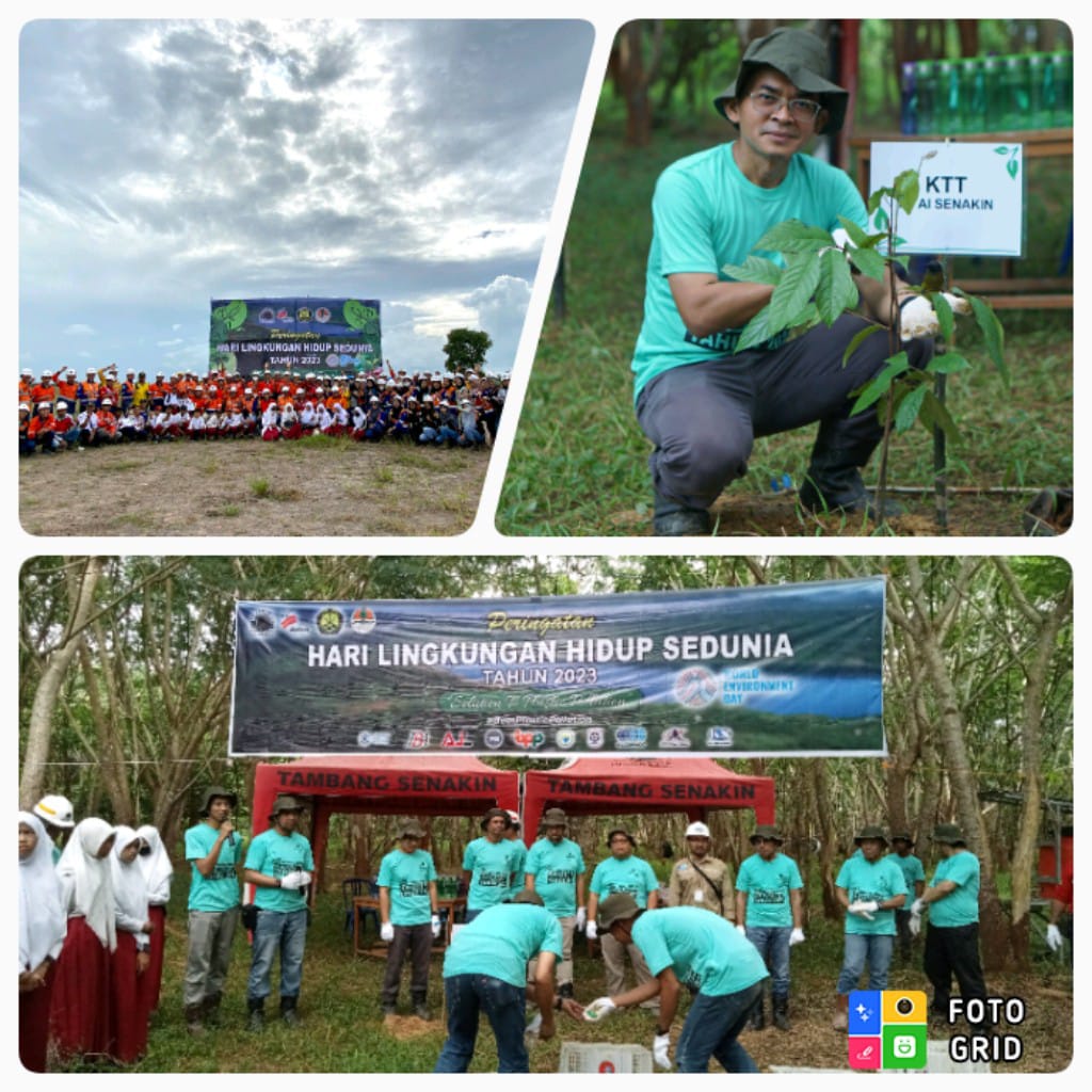 Ribuan Pohon Ditanam Dan Ratusan Burung Dilepasliarkan Diarea Reklamasi PT Arutmin Indonesia