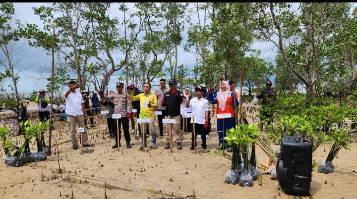 Berbagai Kegiatan DLH Kotabaru di Hari Lingkungan Hidup 2024, 10 Ribu Mangrove di Tanam